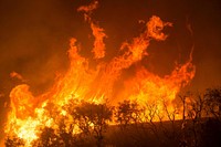 Thomas Fire, Los Padres National Forest, CA. Original public domain image from Flickr