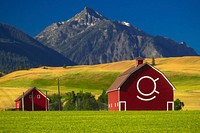 Red Barn with Eagle Cap Wilderness Mountain in Background, Wallowa Whitman National Forest. Enterprise and Joseph Oregon Scenery in the Wallowa Whitman National Forest. Original public domain image from Flickr