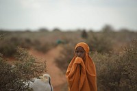 A young girl stands near a herd of goats in the town of El Baraf, Somalia, on March 5. El Baraf was liberated from the terrorist group Al Shabab by the Burundian contingent of AMISOM on February 23, 2016. Original public domain image from Flickr