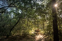 Safari jeep in Community Forest, Kumrose, Nepal, November 2017.