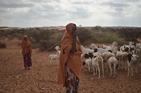 A mother and daughter stand with their herd of goats in El Baraf, Somalia, on March 5. El Baraf was liberated from the terrorist group Al Shabab by the Burundian contingent of AMISOM on February 23, 2016. Original public domain image from Flickr