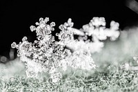 Macro shot of snowflakes. Original public domain image from Flickr
