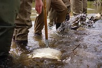 Students stirring up macro invertebrates. Original public domain image from Flickr