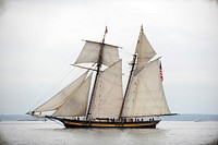 The United States Naval Academy Class of 2023 complete sailing training during Plebe Summer. Original public domain image from Flickr