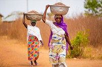 USAID in Ghana: Shea Butter Processing. USAID and the Global Shea Alliance partner to connect West Africa village women to the global marketplace. Photo: Douglas Gritzmacher/USAID. Original public domain image from Flickr