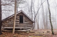 Abandoned cabin in the forest. Free public domain CC0 photo.