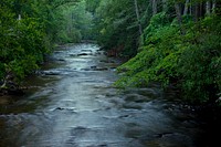 A morning river scene in the Davidson River Campground, Pisgah National Forest, NC, July 29, 2017. (USDA Photo by Lance Cheung). Original public domain image from Flickr