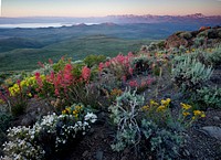 The Bodie Hills region totals 121,500 acres of BLM lands, adjacent to Forest Service and privately owned land.