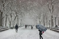 Winter in the park, background photo. Free public domain CC0 image.