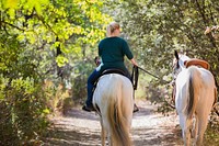 Named for the longhorn cattle that once roamed wild, the 52,000-acre Cow Mountain Recreation Area offers a variety of recreational opportunities.