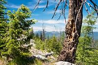 The Pacific Northwest Trail on the north side of Garver Mountain, Kootenai National Forest. Original public domain image from Flickr