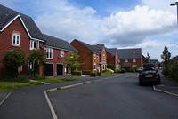 Suburban neighborhood. Free public domain CC0 photo.