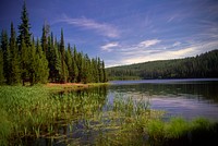 Jubilee Lake and Reeds on the Umatilla National Forest in Oregon. Original public domain image from Flickr