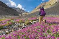 Exploring the alpine terrain. Original public domain image from Flickr