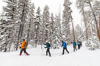 Cross-country skiing the Roller Coaster Trail by Jacob W. Frank. Original public domain image from Flickr