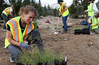 ROMO Workday. Michelle planting native grasses. NPS Photo/M.Reed. Original public domain image from Flickr