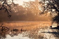 The Cosumnes River Preserve is home to California&rsquo;s largest remaining valley oak riparian forest, and is one of the few protected wetland habitat areas in the state.