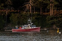 Fishing vessels at Northeast Harbor, Maine, on July 9, 2018. USDA Photo by Lance Cheung. Original public domain image from Flickr