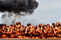 A wall of fire erupts during a pyrotechnics display as part of the Arctic Thunder Open House at Joint Base Elmendorf-Richardson. Original public domain image from Flickr