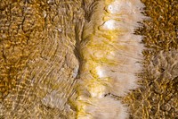 Filamentous bacteria at Mammoth Hot Springs. Original public domain image from Flickr