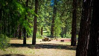 Campsite at Smiling River Campground along the Metolius River on the Deschutes National Forest in Central Oregon. Original public domain image from Flickr