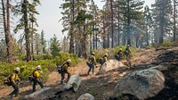 U.S. Department of Agriculture (USDA) Forest Service (FS) Smith River Hotshot Forestry Technicians move hike along fire breaks to mitigate trail hazards by clearing pathways blocked by dead and fallen trees and brush allowing other crews to better access the area and help stop the Cedar Fire in the and around the Sequoia National Forest, and Posey, CA, on Tuesday, August 23, 2016.