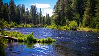 Metolius River by Allen Springs Campground on the Deschutes National Forest in Central Oregon. Original public domain image from Flickr