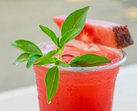 This evening, at the VegU tent, people learn how to how to pick, store, and prepare a Spicy Cherry Mock-a-jito using cherries and watermelon, from vendors at the U.S. Department of Agriculture (USDA) Farmers Market Night, and basil from the USDA People’s Garden in Washington, D.C., on Friday August 12, 2016.