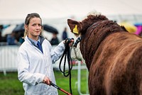 Scene from Westmorland County Show. Original public domain image from Flickr