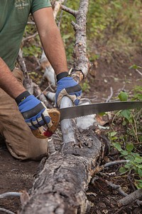 Man removes braches from the downed tree to make it easier to drag off. Original public domain image from Flickr