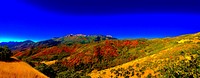 Uinta-Wasatch-Cache National Forest, Alpine Loop, USA. Original public domain image from Flickr