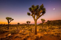 The Bureau of Land Management photo. Original public domain image from Flickr