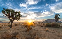 The Bureau of Land Management photo. Original public domain image from Flickr