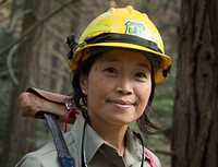 U.S. Department of Agriculture (USDA) Forest Service (FS) Entomologist Beverly Bulaon searches for pine bark beetles burrowed in dead Ponderosa pine trees in the Sequoia National Forest, near Posey, CA, on Wednesday, August 24, 2016.