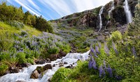 B&uacute;&eth;ar&aacute;rfoss Waterfall, Iceland. Free public domain CC0 image.