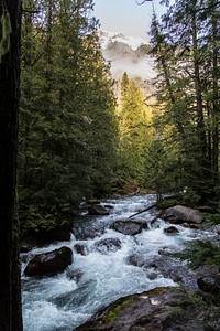 Avalanche Creek and Cloudy Cannon. Original public domain image from Flickr