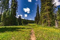 Located in Western Wyoming, the Bridger-Teton offers more than 3.4 million acres of public land for your outdoor recreation enjoyment.