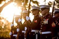 Marines with the USMC headquarters company step off to conduct an Armed Forces Full Honor Wreath Laying Ceremony, at the Tomb of the Unknown Soldier, Arlington National Cemetery, Arlington, Va., Oct. 20, 2016. Original public domain image from <a href="https://www.flickr.com/photos/39955793@N07/30468962311/" target="_blank">Flickr</a>