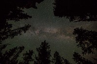 Milky Way and lodgepole pines. Original public domain image from Flickr