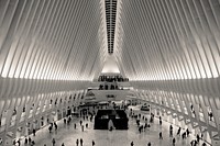 One world trade center. Free public domain CC0 photo.