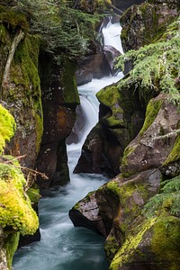 Avalanche Gorge Portrait. Original public domain image from Flickr