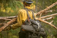 Crescent Mountain Fire, Okanogan-Wenatchee NF, WA, 2018. Photo by Kari Greer. Original public domain image from Flickr