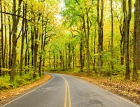 Beautiful Autumn aesthetic background, skyline drive. Free public domain CC0 photo.