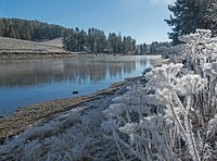 Frost along the Yellowstone River by Diane Renkin. Original public domain image from Flickr