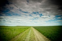 Mitch Auer, farmer near Broadview, Mont., added alfalfa to his crop rotation to fix nitrogen in the soil for his wheat crop. Yellowstone County, Montana. June 2017.<br/><br/>. Original public domain image from <a href="https://www.flickr.com/photos/160831427@N06/31238859157/" target="_blank" rel="noopener noreferrer nofollow">Flickr</a>