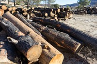 A personal fuelwood deck near Idyllwild, Calif.Forest Service photo by Tania C. Parra. Original public domain image from Flickr