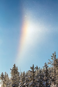 Parhelion and diamond dust above the trees. Original public domain image from Flickr