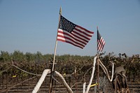 Forever Grateful Ranch is in Chowchilla, CA, 150 miles east-southeast of San Francisco, CA, where owner Jim Chew grows pistachios on Nov 19, 2018.