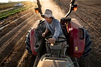 VH Produce owner Vue Her is a Hmong farmer on a 10-acre field, who grows several Asian specialty crops in Singer, CA, near Fresno, on November 9, 2018.
