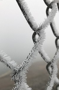 Frost on retreat channel fence at Cave RunFrost on the retreat channel fence at Cave Run Lake Photo by: Gary Long. Original public domain image from Flickr